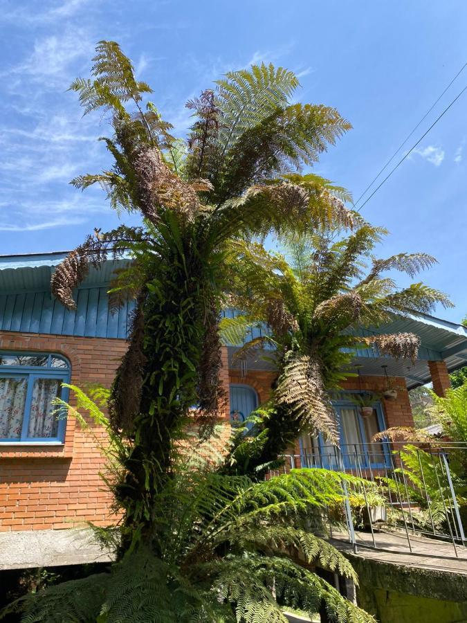 Villa Casa Da Vo Diva No Centro De Gramado Exterior foto